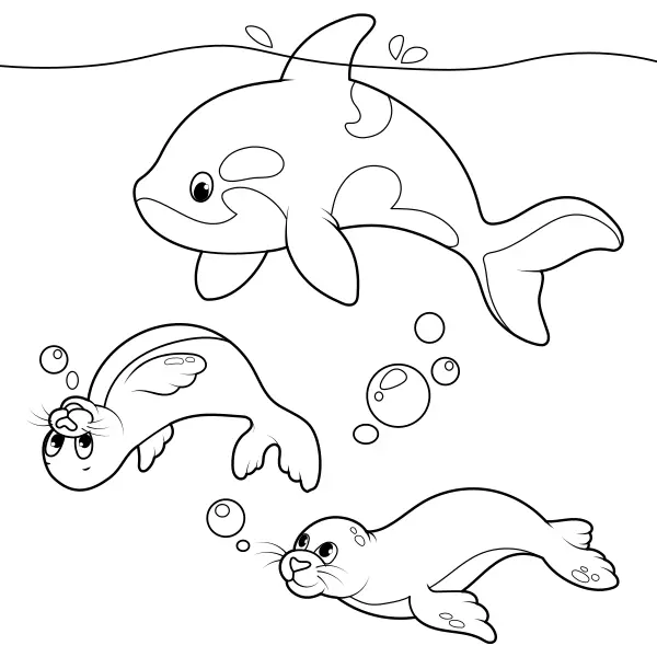 Les phoques et les orques | Coloriages en ligne pour enfants