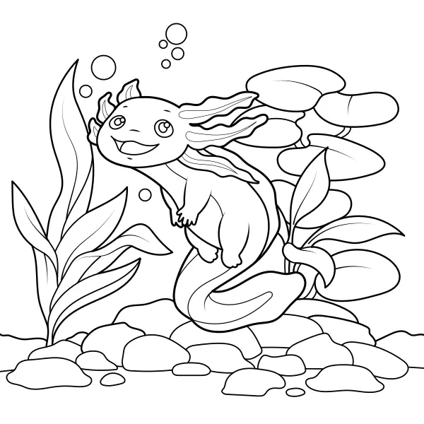 Axolotl | Coloriages en ligne pour enfants