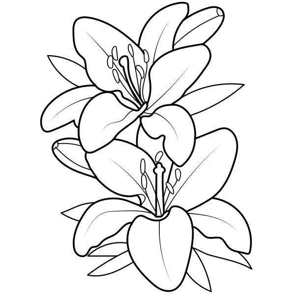 Les lys | Coloriages en ligne pour enfants