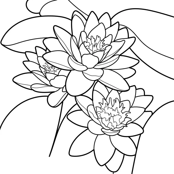 Nénuphar | Coloriages en ligne pour enfants