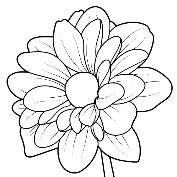 Dahlia | Coloriages en ligne pour enfants