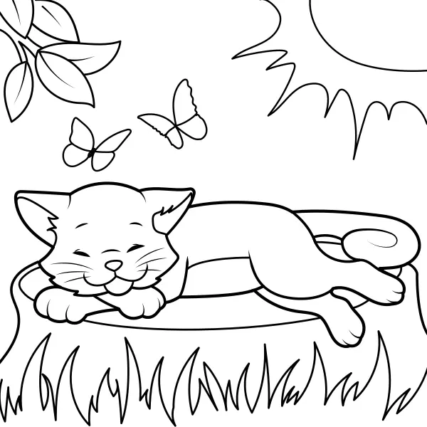 Le chat se réchauffe au soleil | Coloriages en ligne pour enfants