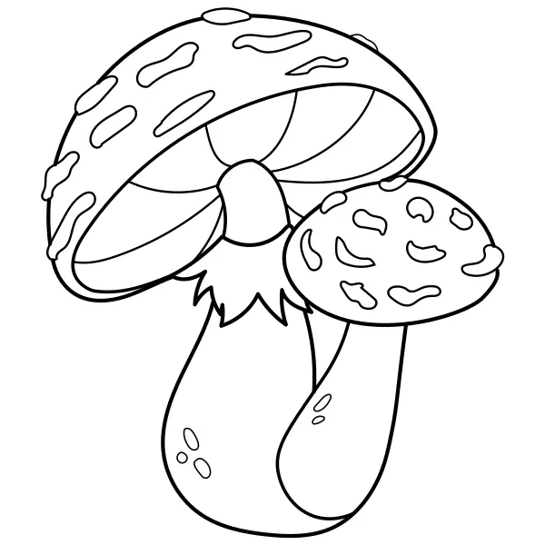 Amanites | Coloriages en ligne pour enfants