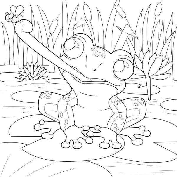 Une grenouille | Coloriages en ligne pour enfants