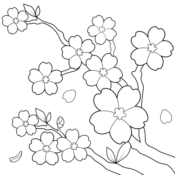 Cerisier japonais | Coloriages en ligne pour enfants