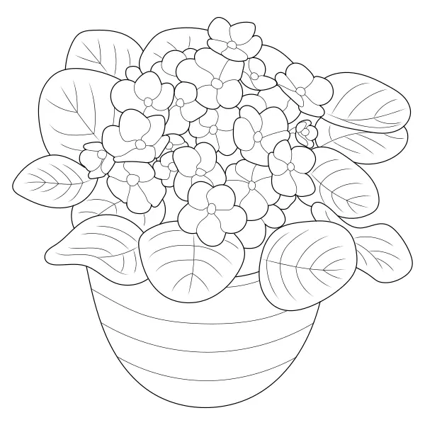 Violettes | Coloriages en ligne pour enfants