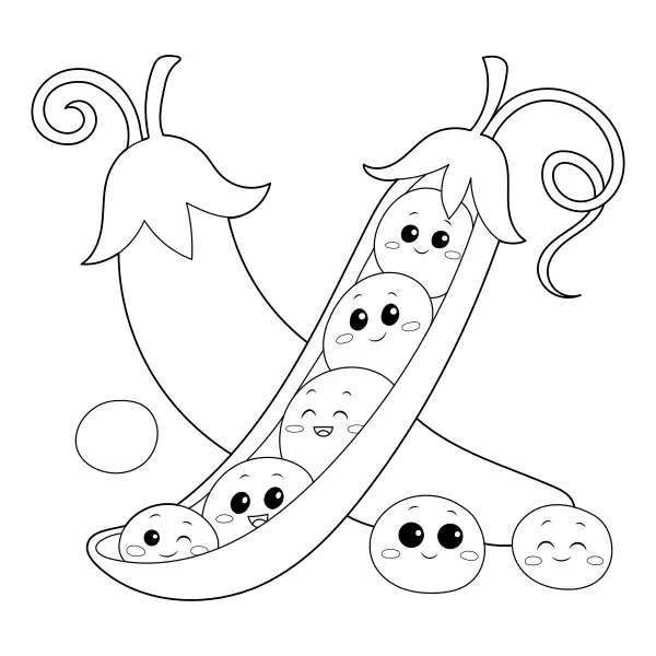 Pois | Coloriages en ligne pour enfants