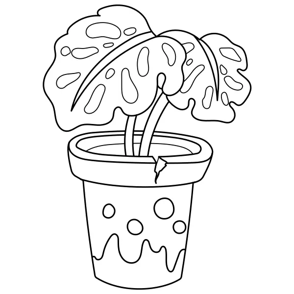 La plante Monstera | Coloriages en ligne pour enfants